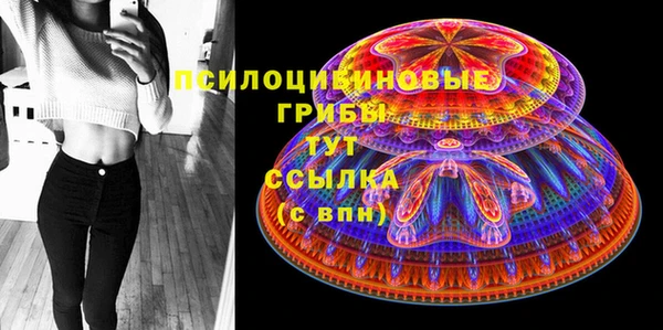 первитин Лабытнанги