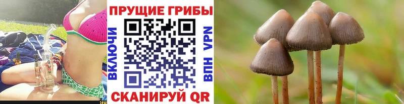 Галлюциногенные грибы GOLDEN TEACHER Купить закладки Белореченск